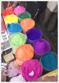 Holi, Jaipur